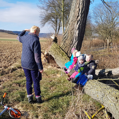 Wir schauen in die Natur
