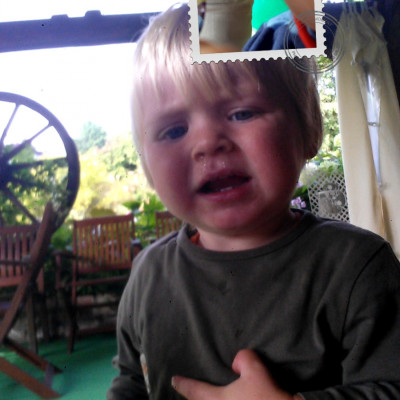 schon wieder schon wieder